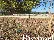 All size Free hold For sale in Bilaspur pur, Greater Noida